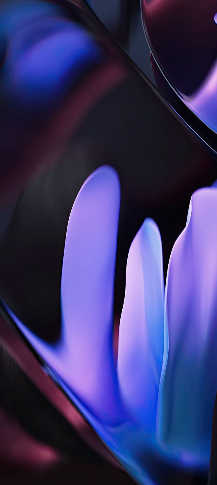 736x1643 Google Pixel 9 Pro XL Wallpaper