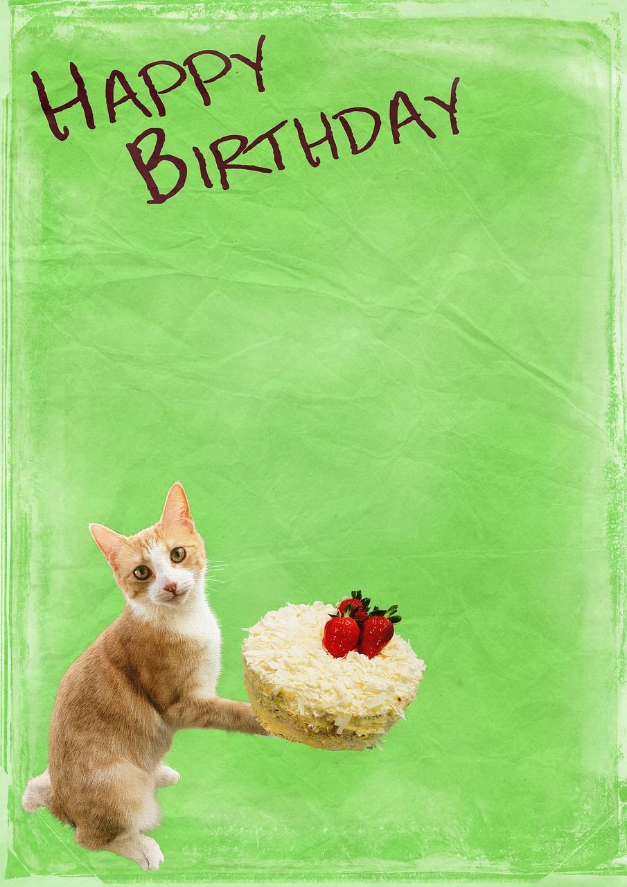 905x1280 Date Of Birth Cat Cakes