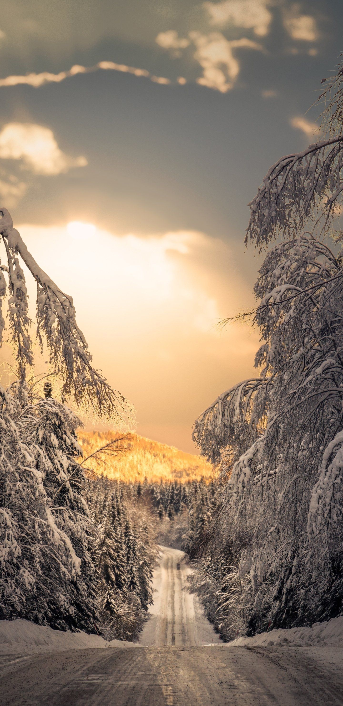 1440x2960 Sweden Winter Man Made Road Phone Wallpaper