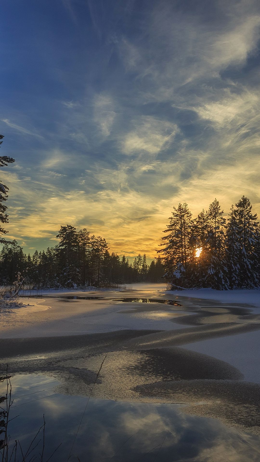 1080x1920 Picture Sweden Arvika Winter Spruce