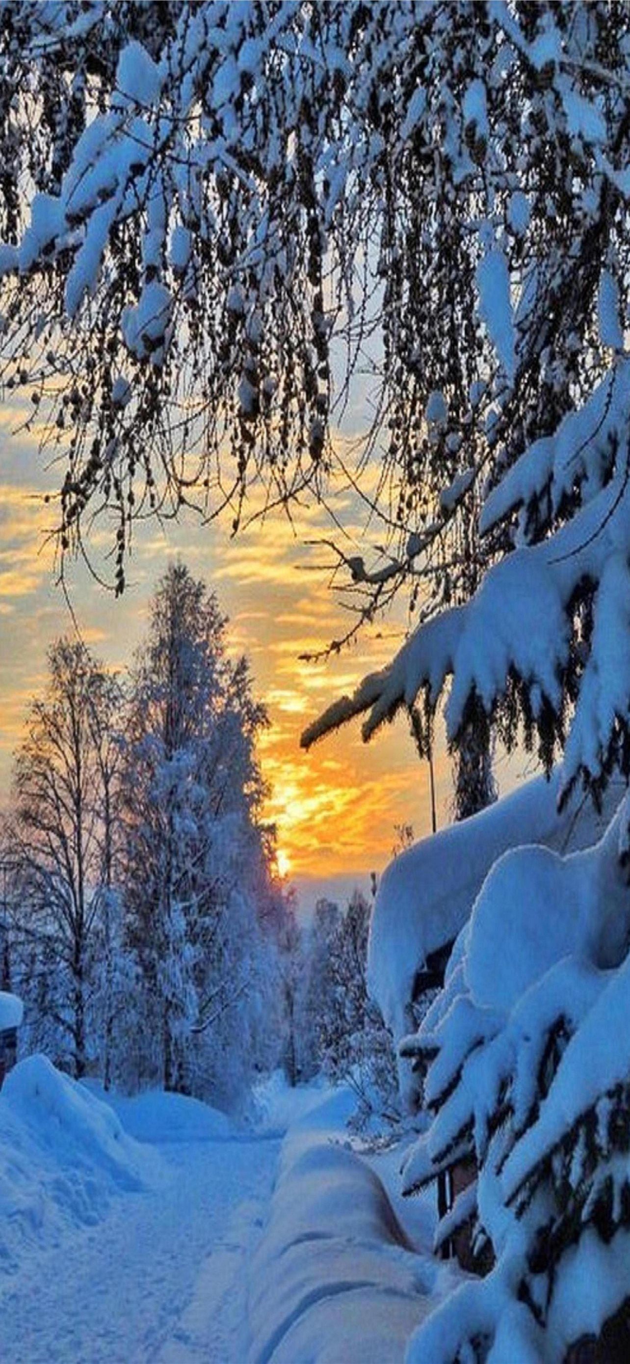 1284x2778 Sweden Winter Wallpaper