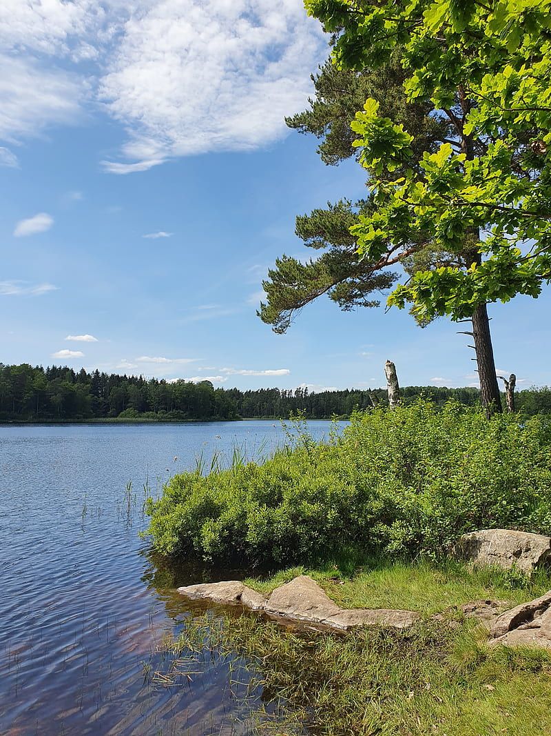 800x1067 sweden, water, HD phone wallpaper