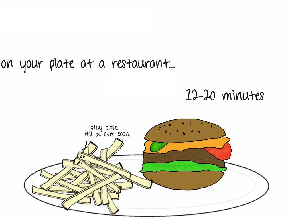 1024x768 the life expectancy of french fries. this is not that blog