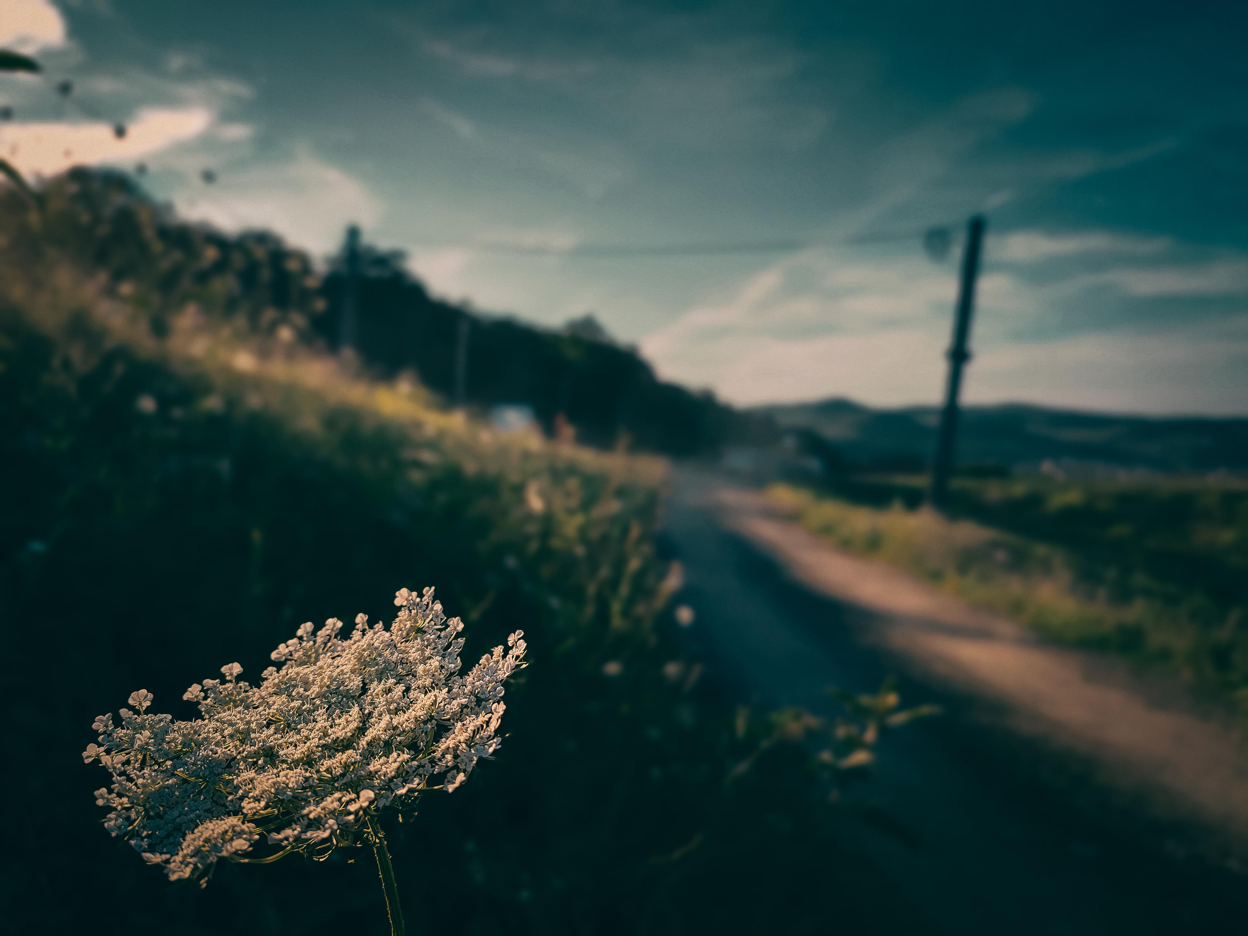 4000x3000 color grading