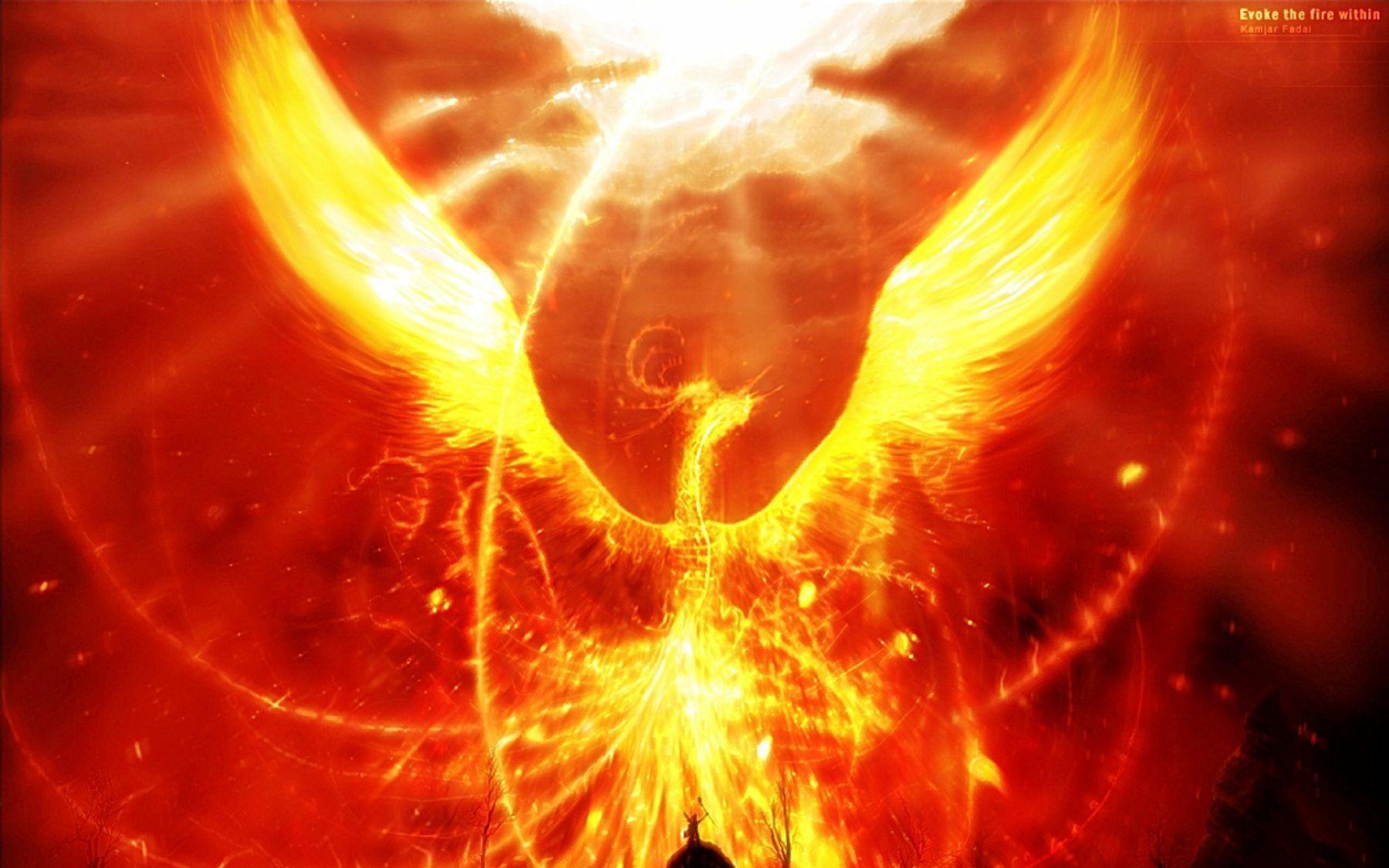 Epic Phoenix Wallpapers Top Free Epic Phoenix Backgrounds Wallpaperaccess