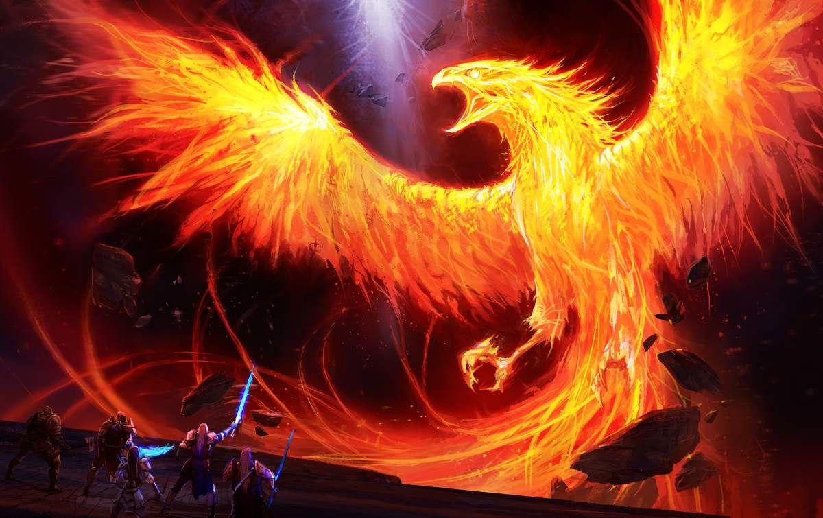 Epic Phoenix Wallpapers - Top Free Epic Phoenix Backgrounds ...