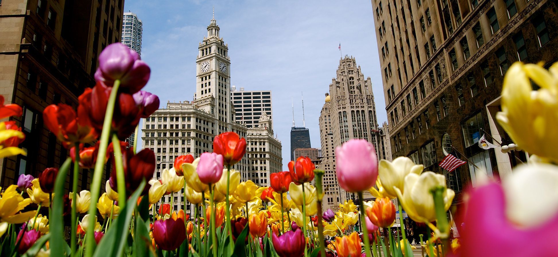 1944x898 Things to Do in Chicago this Spring