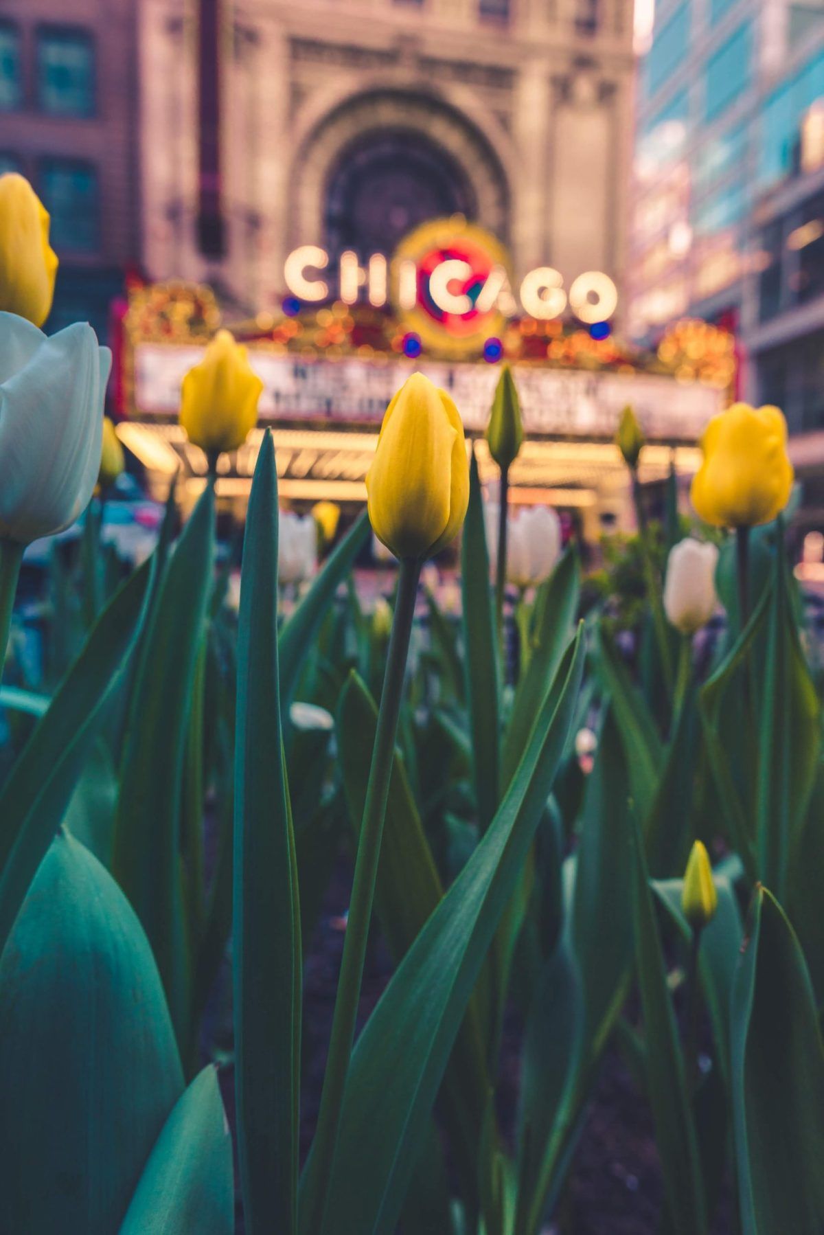 1200x1798 spring with these Chicagoland events
