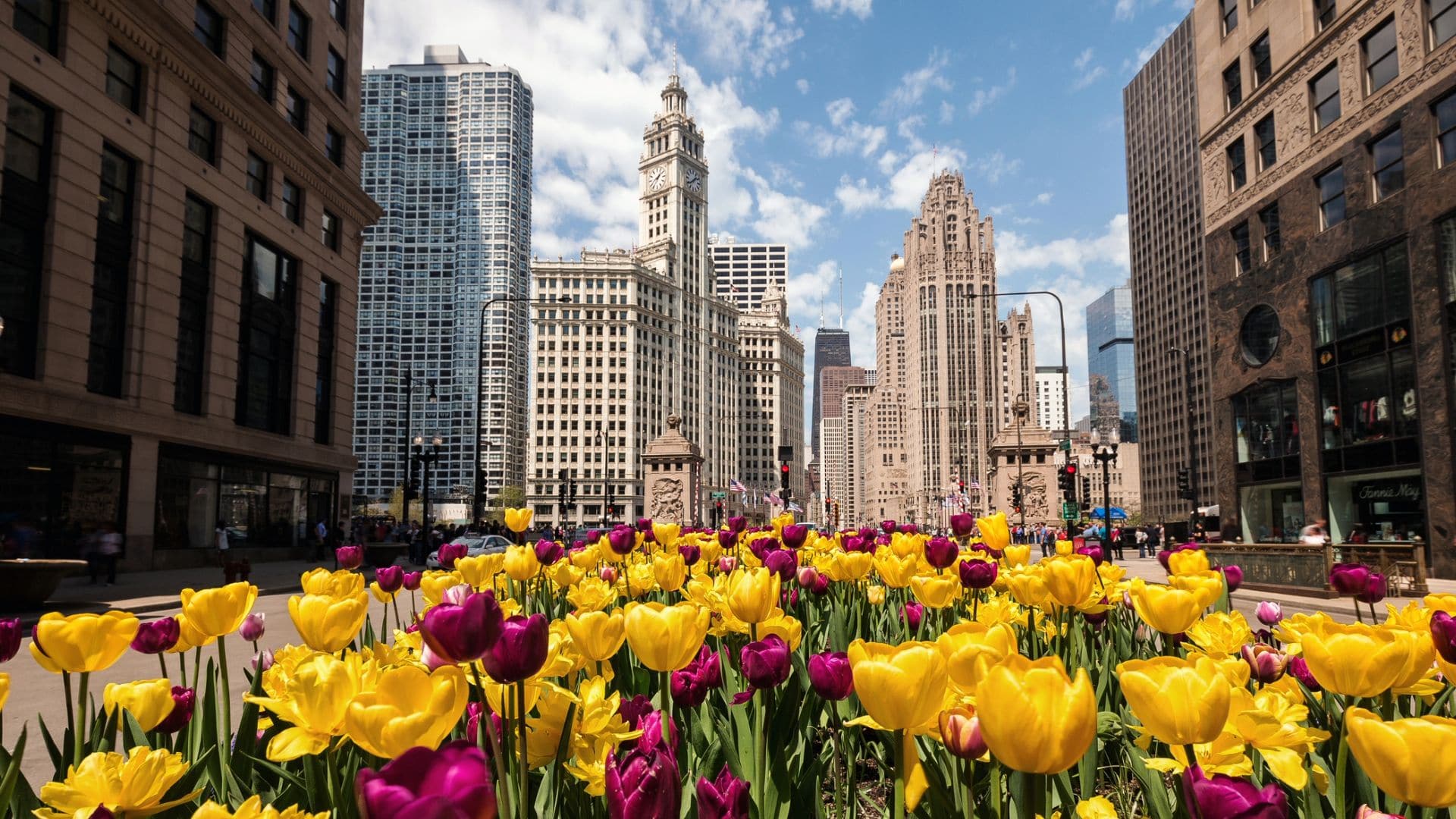 1920x1080 Experiences on The Mag Mile Chicago