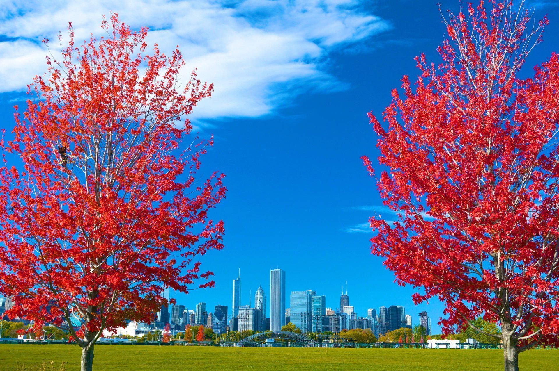1920x1276 Chicago HD Wallpaper