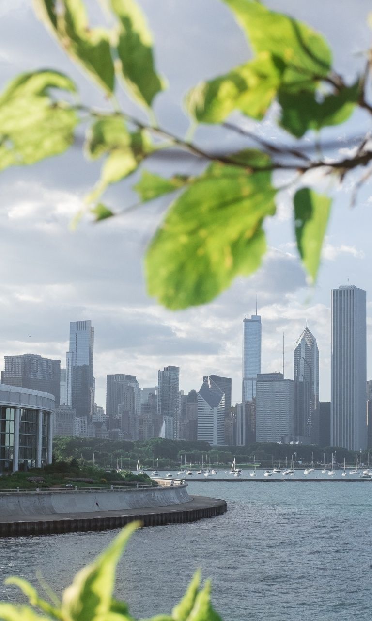 768x1280 Chicago Skyline Summer Ultra HD