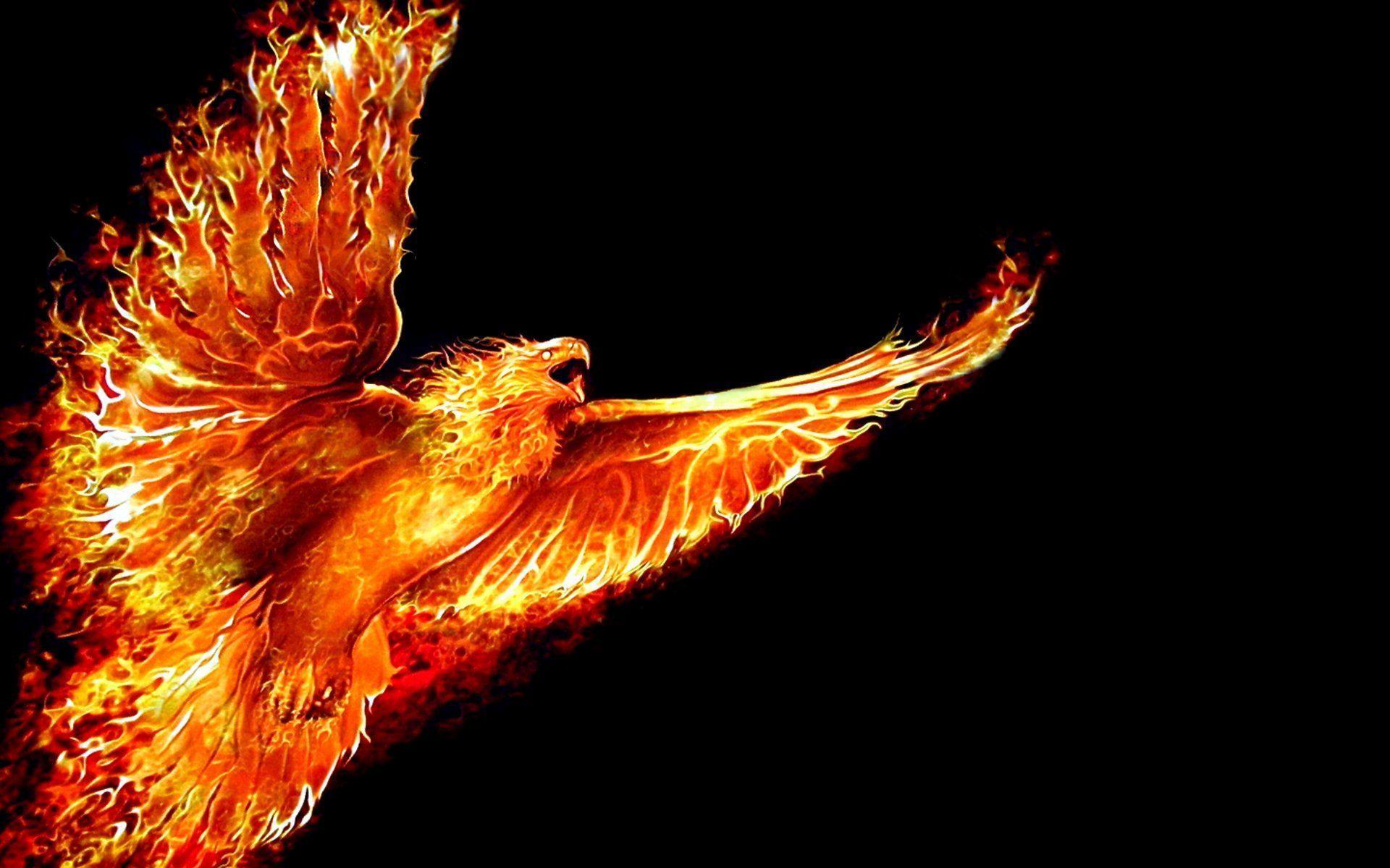 1920x1200 Firebird Desktop Wallpaper