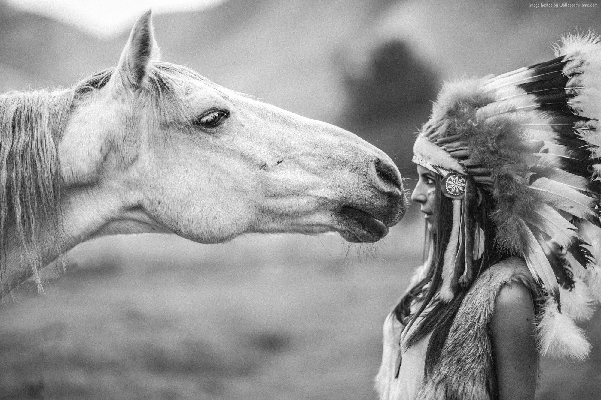 Horse Native American Art Wallpapers - Top Free Horse Native American