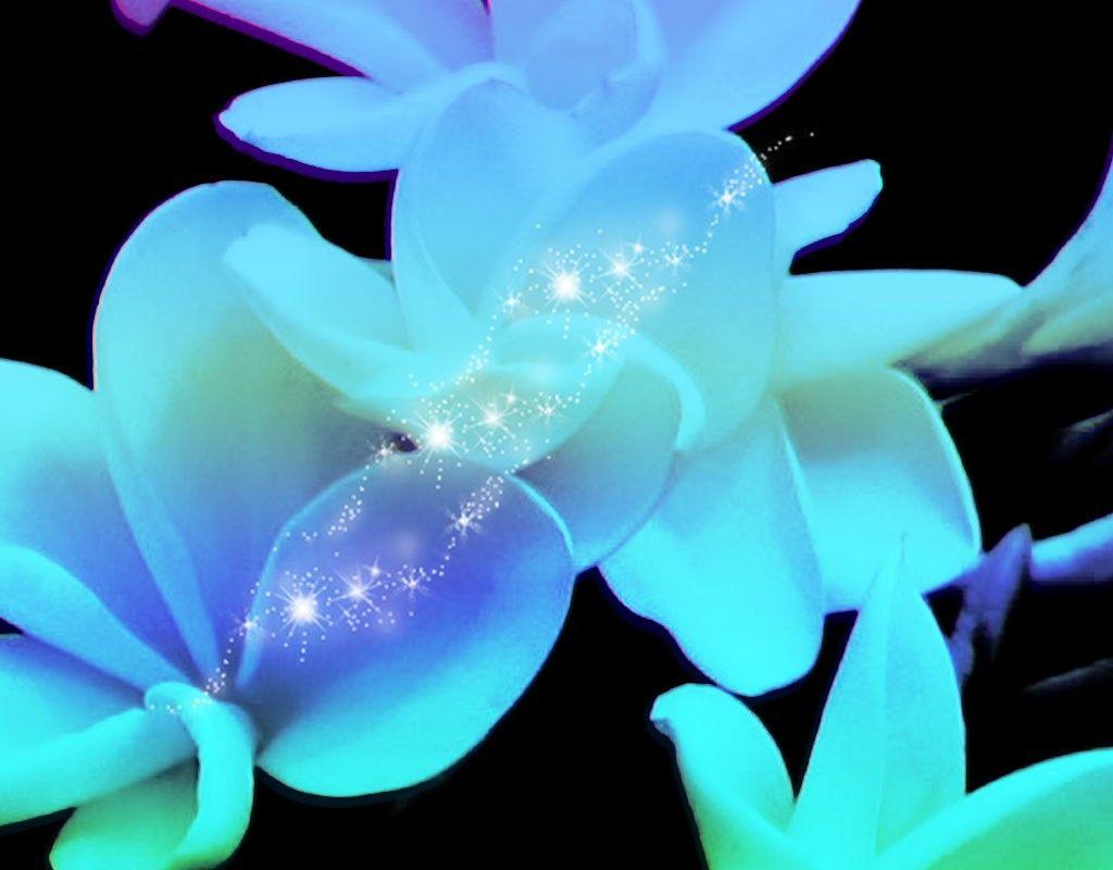 1024x800 Image Result For Hawaii Flowers Wallpaper