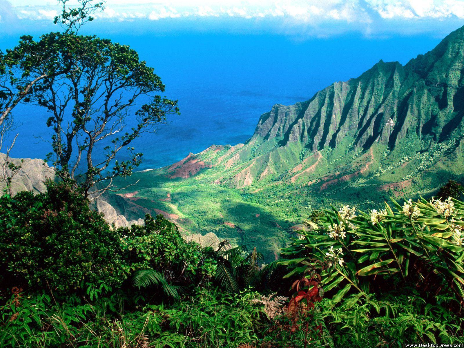 846447 4K Kauai Mountains Coast Hawaii  Rare Gallery HD Wallpapers