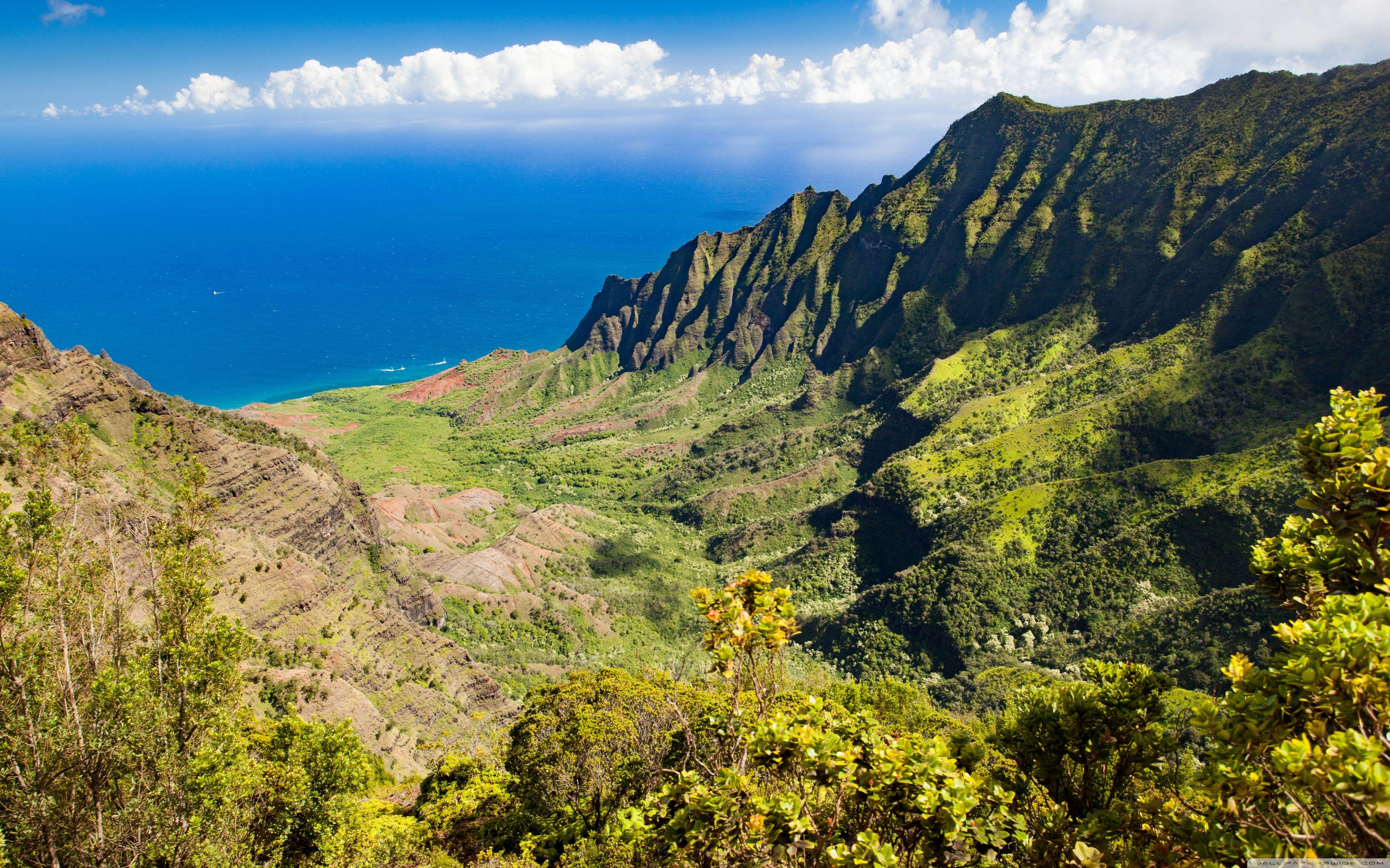 Kauai Wallpapers - Top Free Kauai Backgrounds - WallpaperAccess