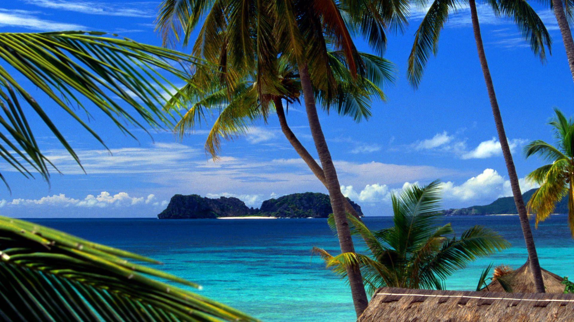 Samoa Wallpapers - Top Free Samoa Backgrounds - WallpaperAccess