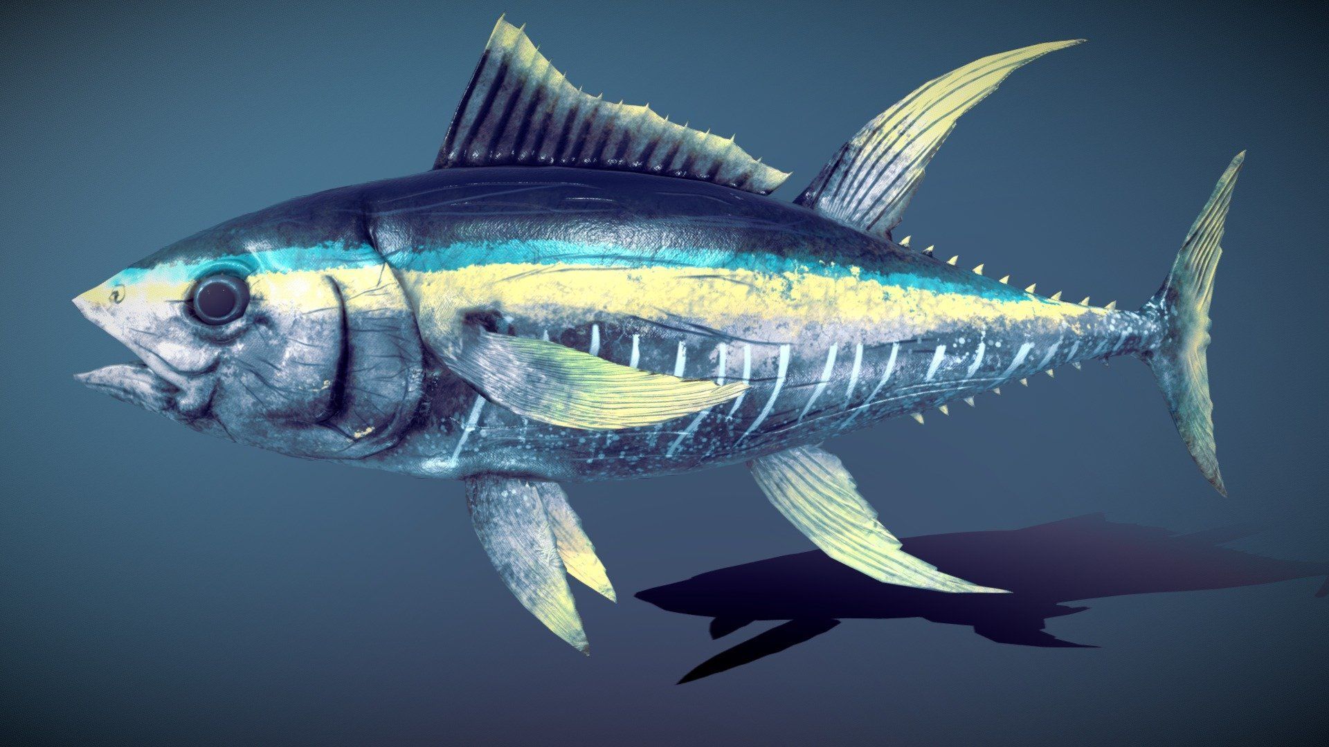 1920x1080 Tuna Fish Free 3D model