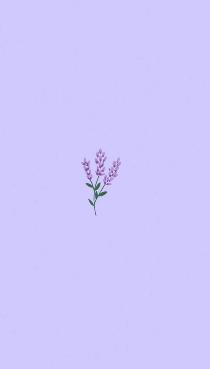 736x1289 Light purple wallpaper, Purple flowers