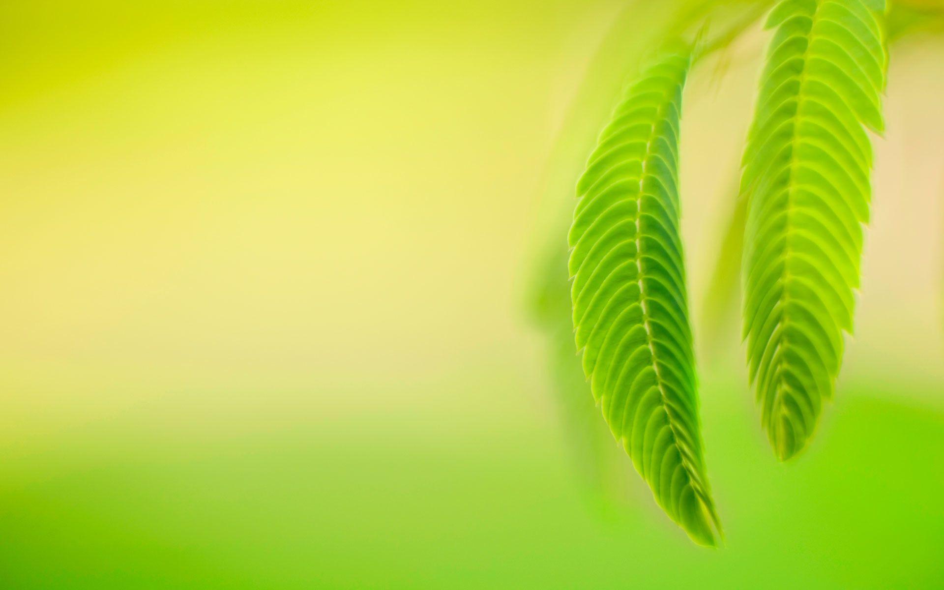 1920x1200 Windows 8 Official Wallpaper
