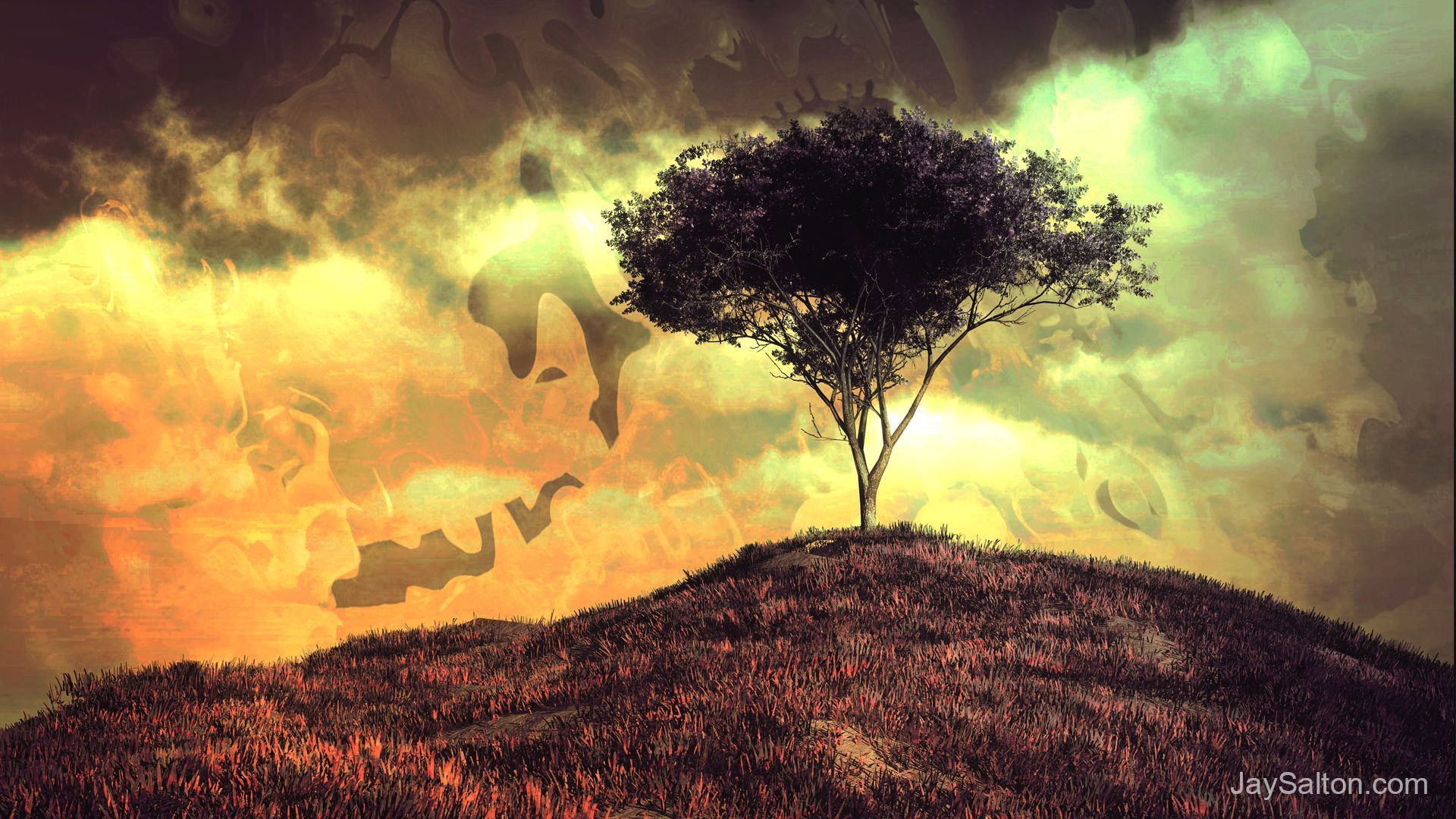 1920x1080 Wallpaper
