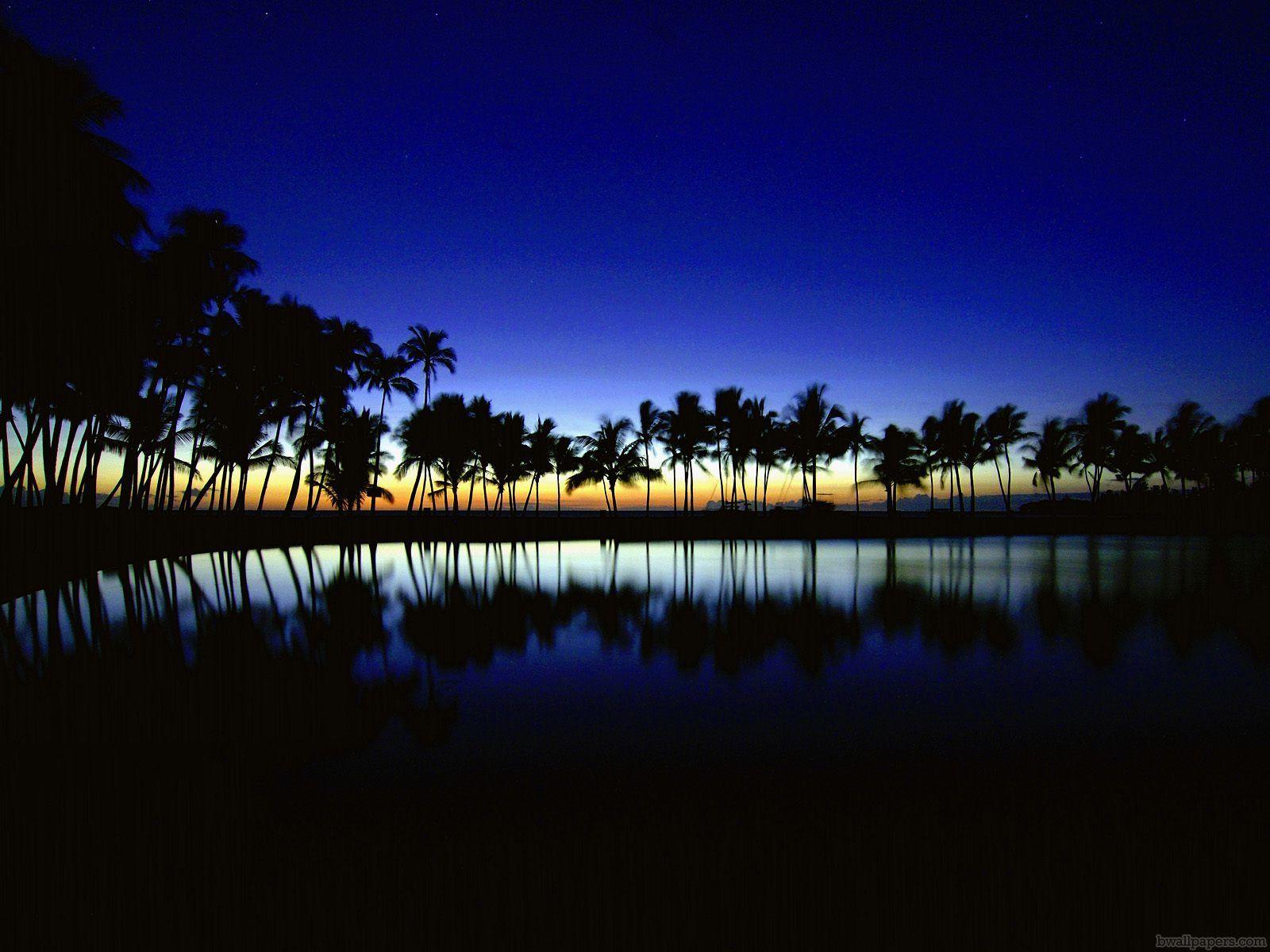 1600x1200 Palm Silhouette Big Island Hawaii, High