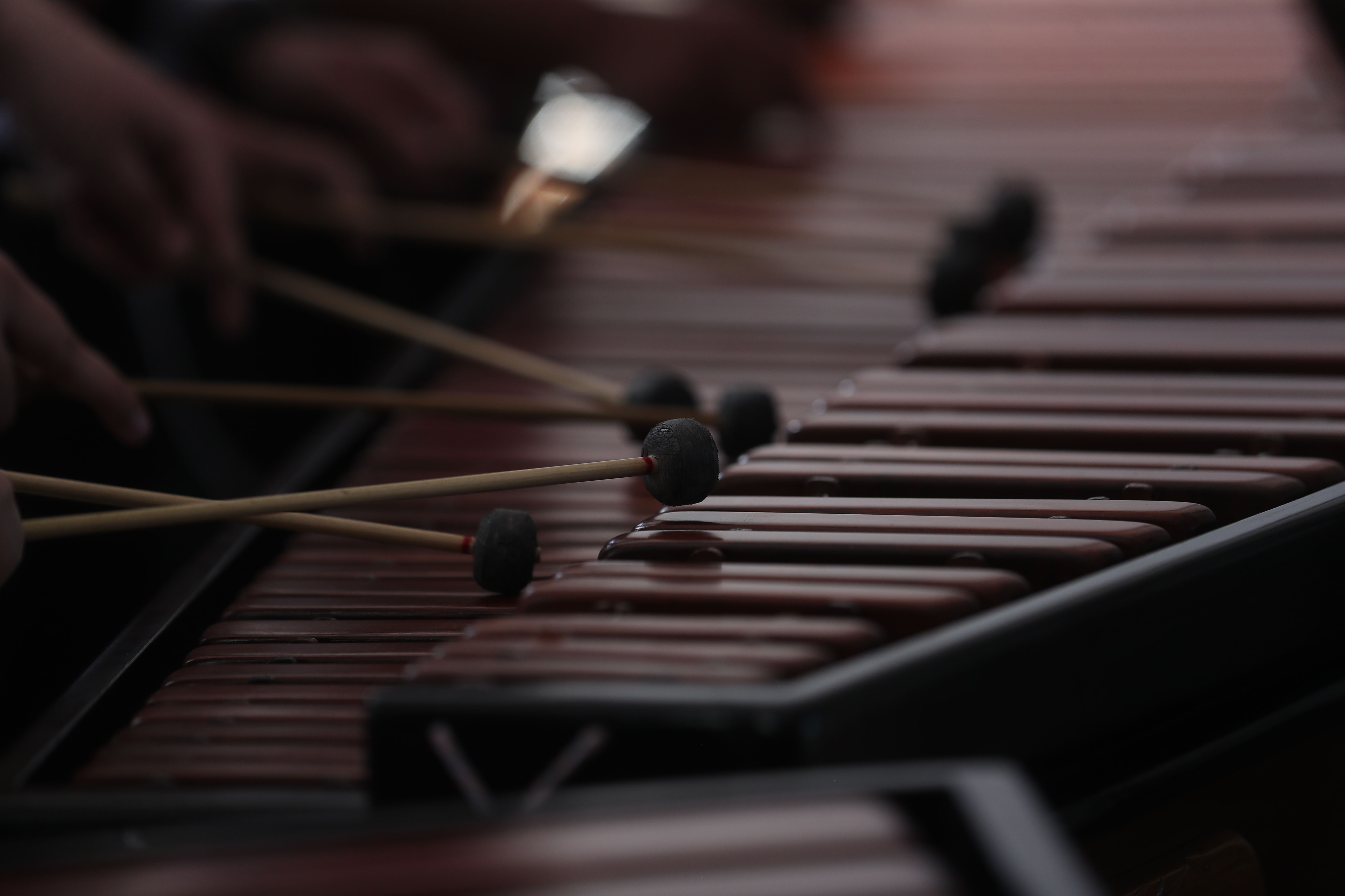 5472x3648 Ensamble de 25 marimbas: Cuándo y dónde