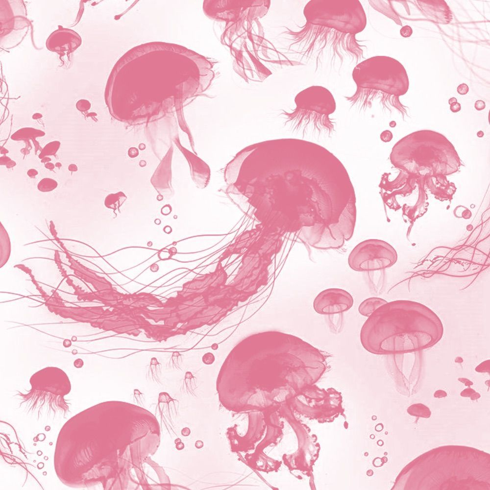 1000x1000 Pink Jellyfish Wallpaper
