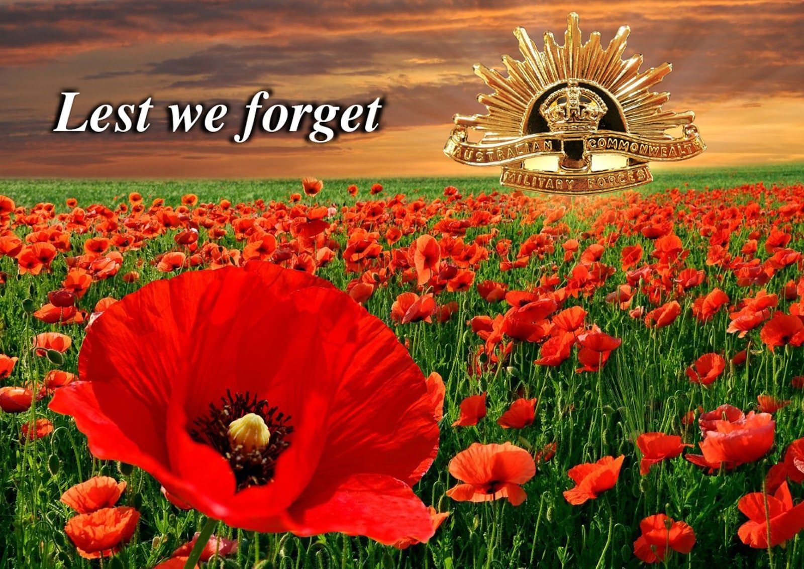 1600x1132 Intelliblog: REMEMBRANCE DAY 2015