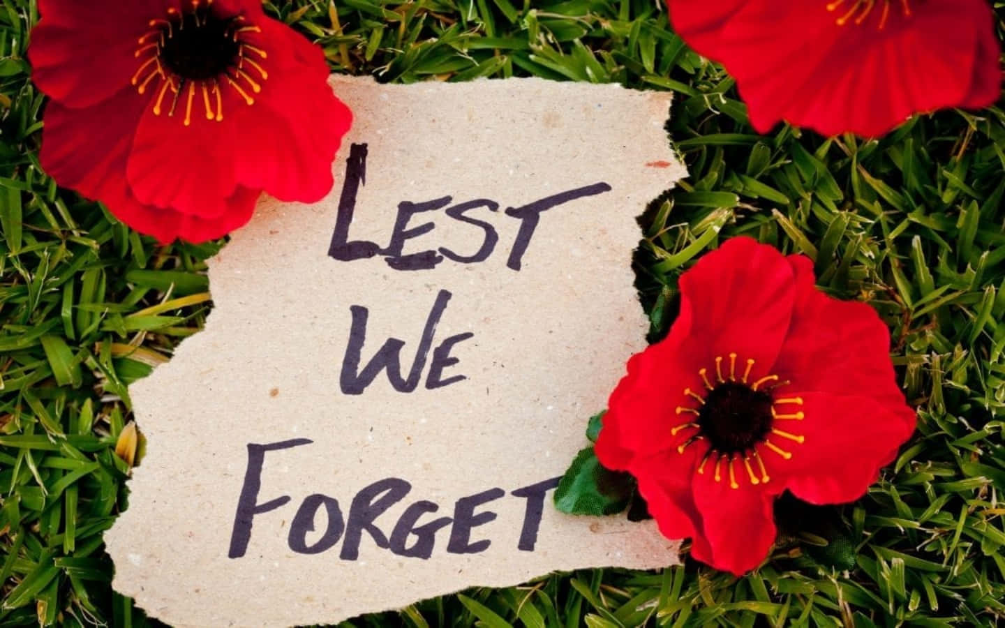 1440x900 Tribute On Remembrance Day