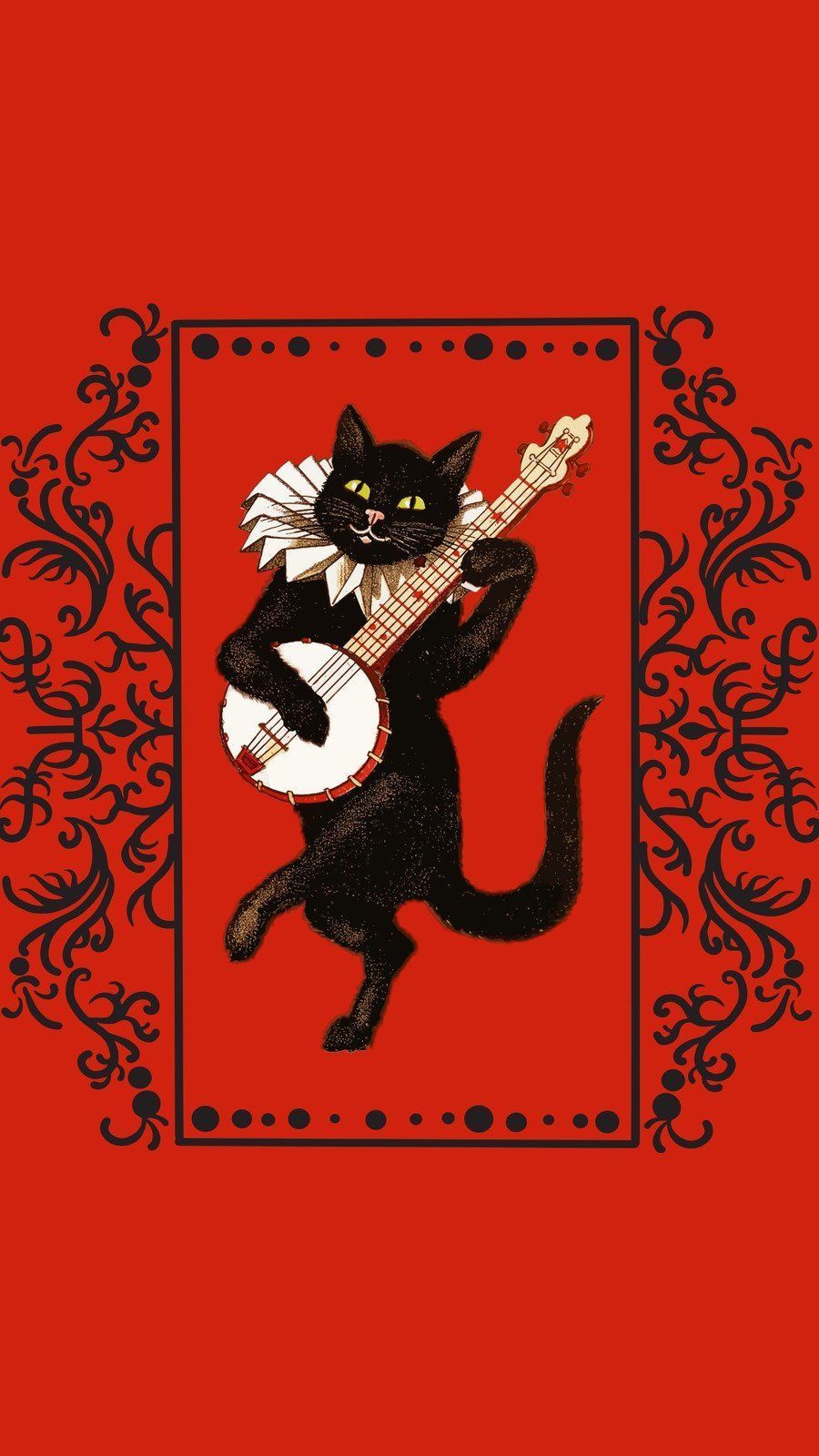 900x1600 cute cat wallpaper templates