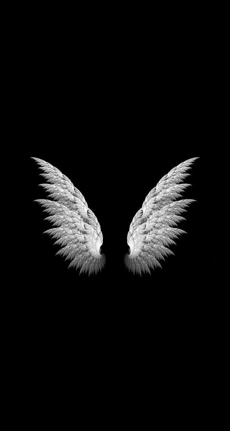 800x1497 Angel, wings, HD phone wallpaper