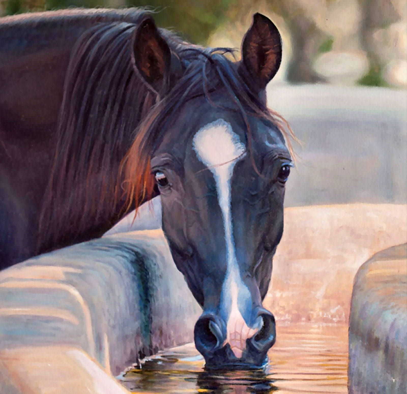 1600x1550 Portrait of Bay Horse Wallpaper