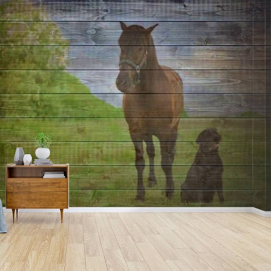 894x893 Wallpaper Wall Mural Wall Decal