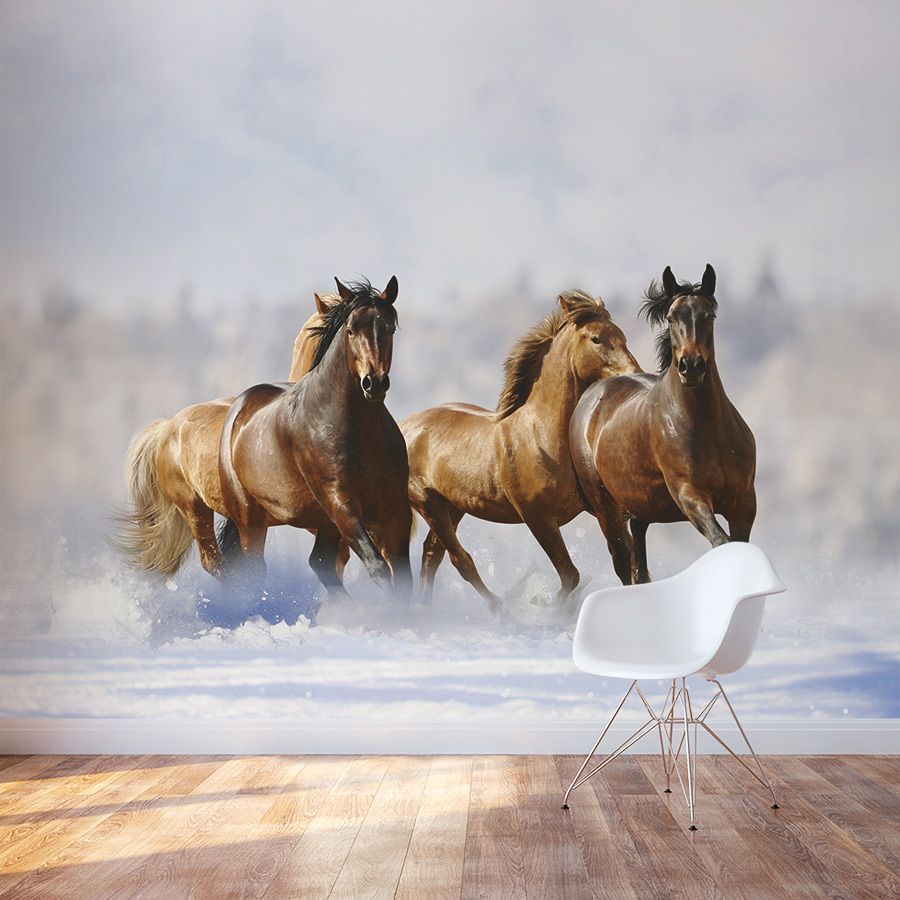 900x900 Winter Horses In Snow Wallpaper. Wild