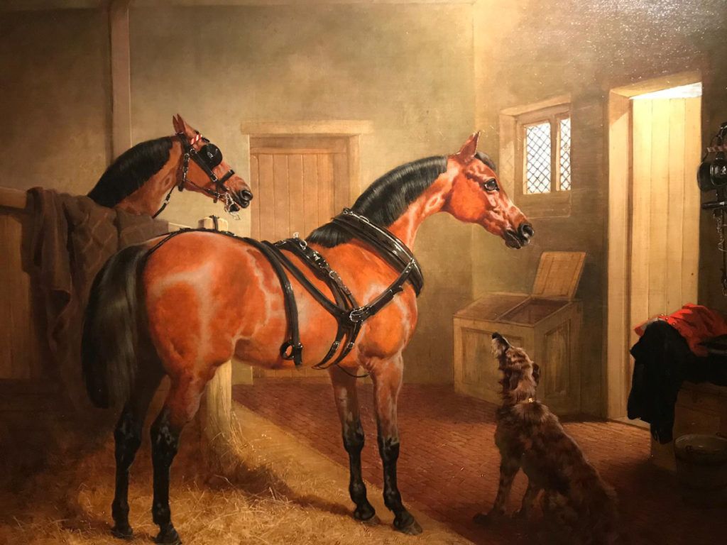 1024x768 Bay Horses