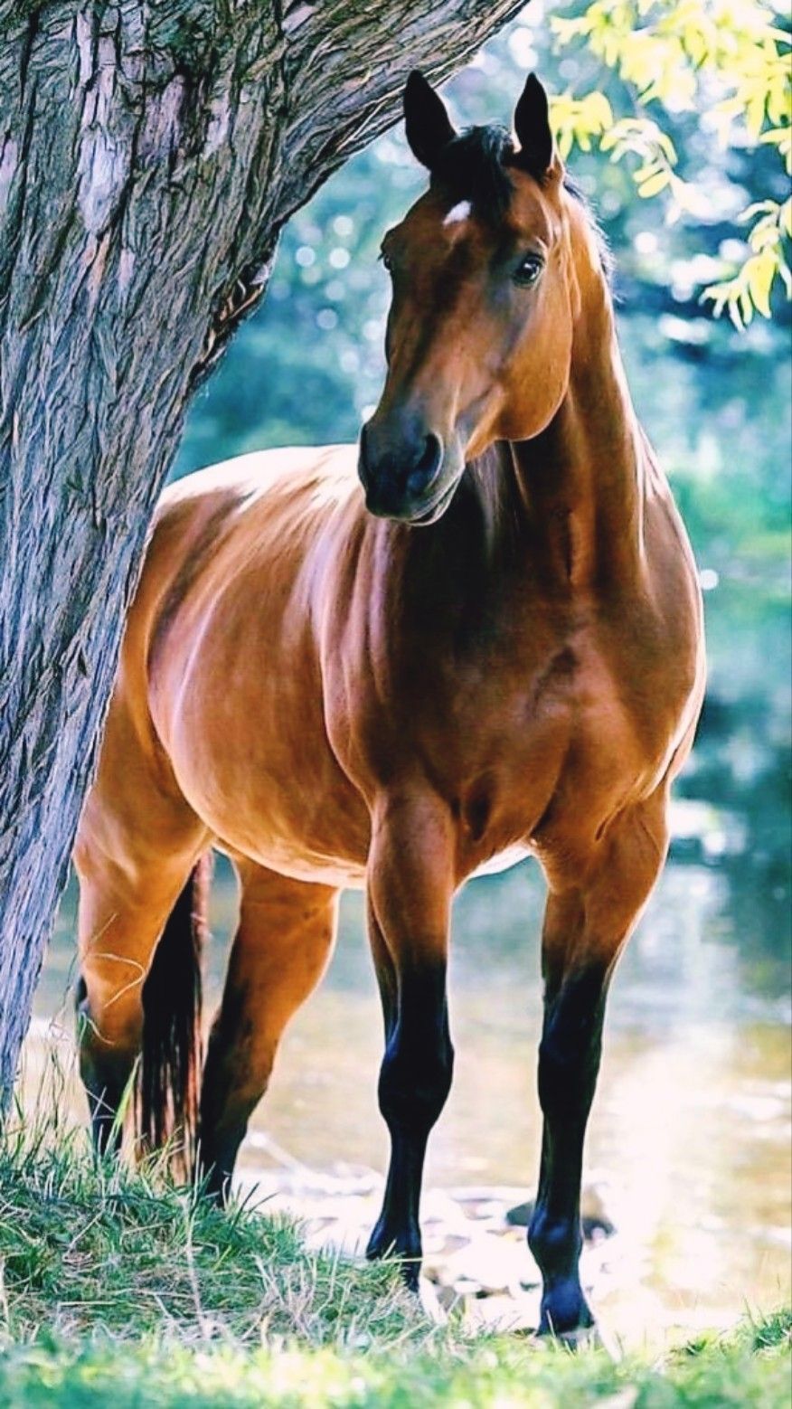 876x1558 Pin page
