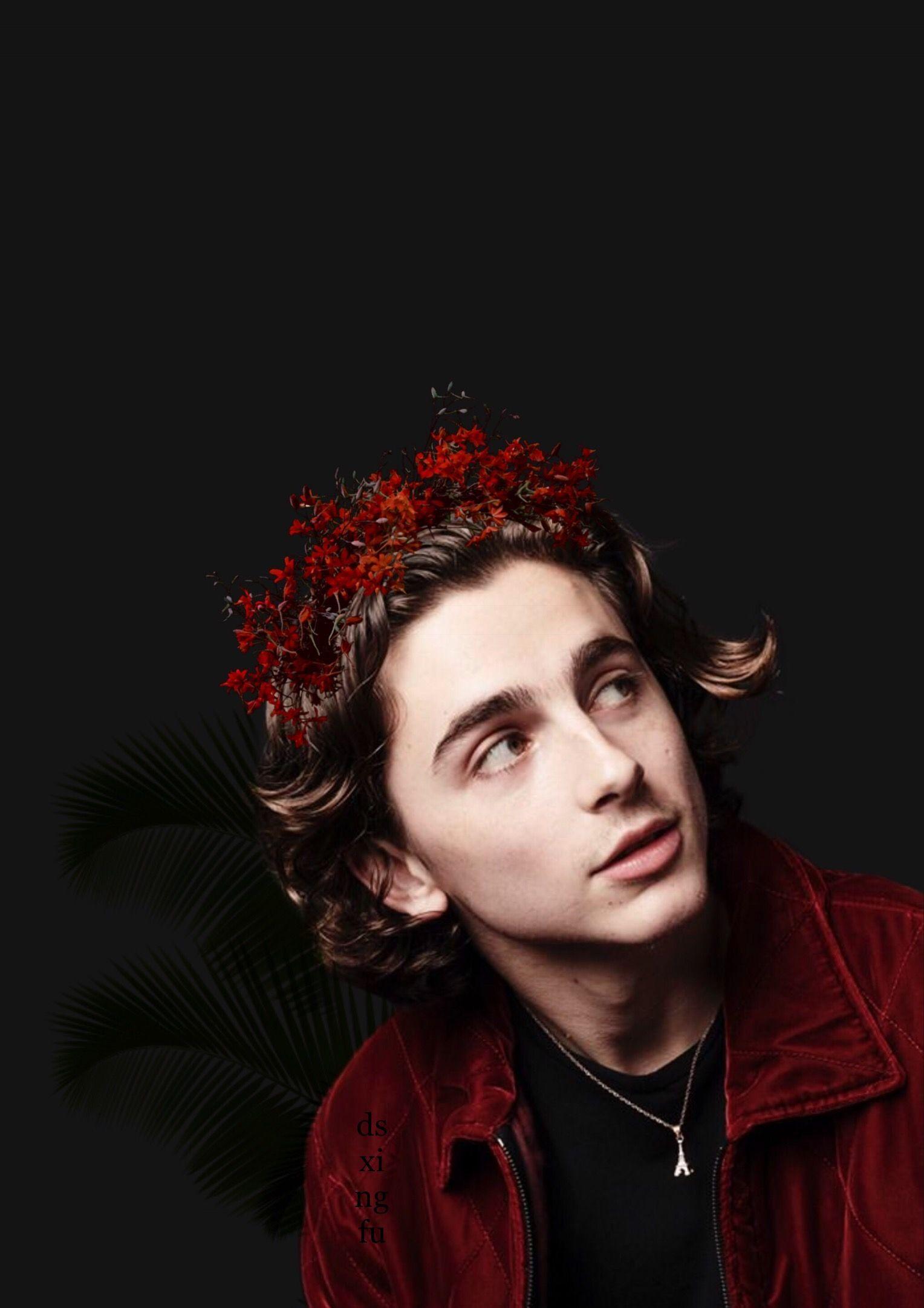 Timothée Chalamet Wallpapers - Top Free Timothée Chalamet Backgrounds