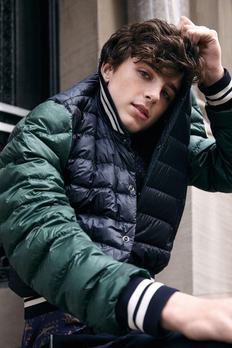 800x1200 Timothee Chalamet wallpaper