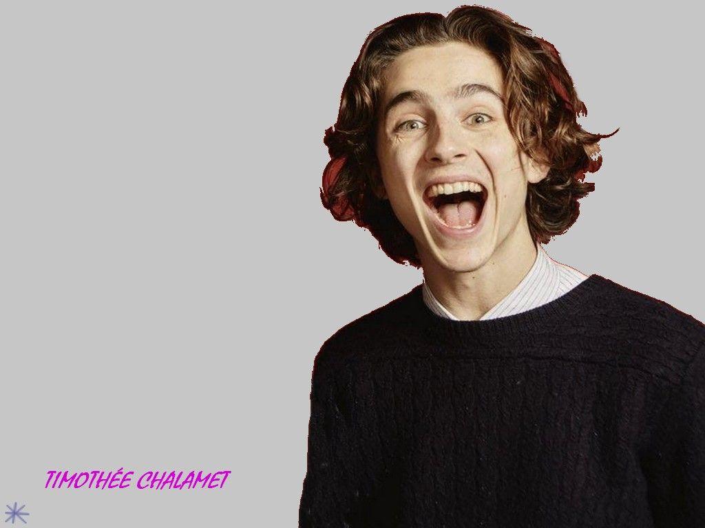 1024x768 Timothée Chalamet wallpaper, Timothée Chalamet wallpaper