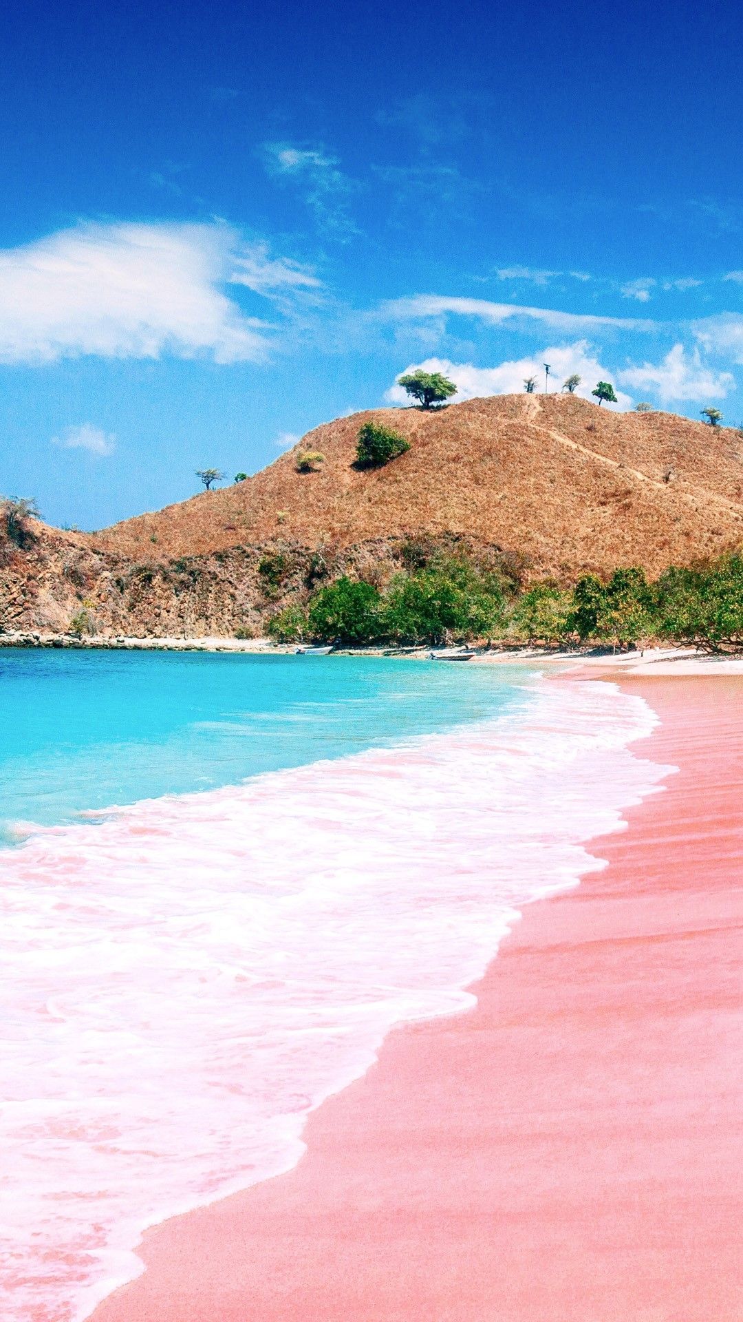 1080x1920 Pink Beach on Komodo Island, East Nusa