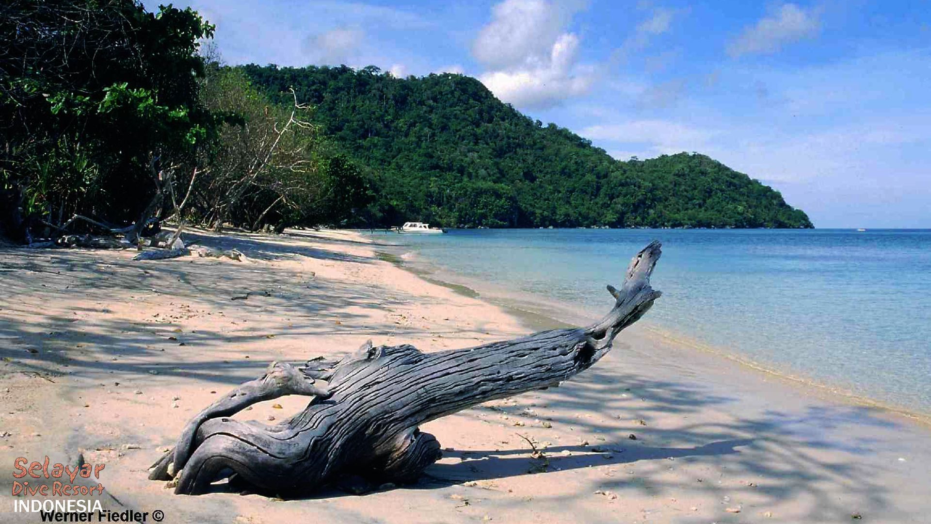 1920x1080 Selayar Dive Resort