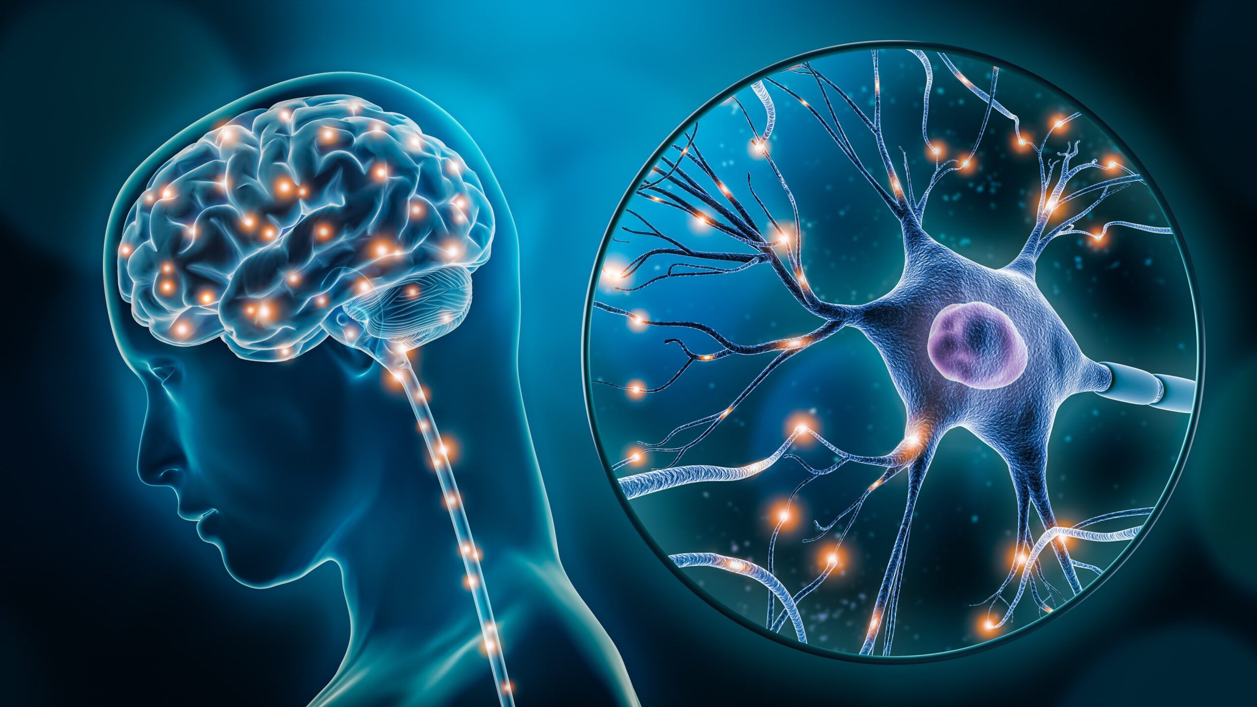 2560x1440 Nervous System