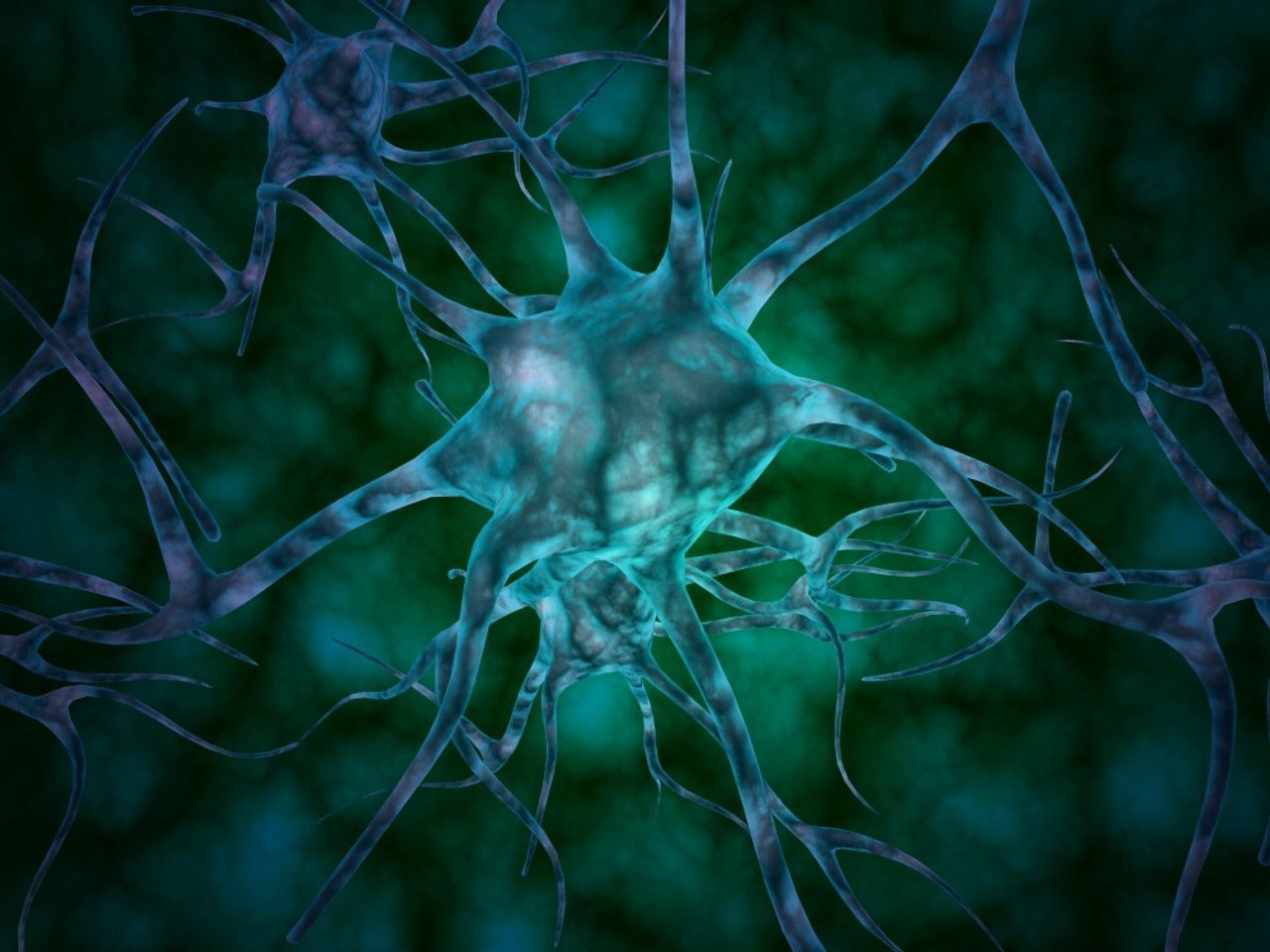 1280x960 multiple nerve cells