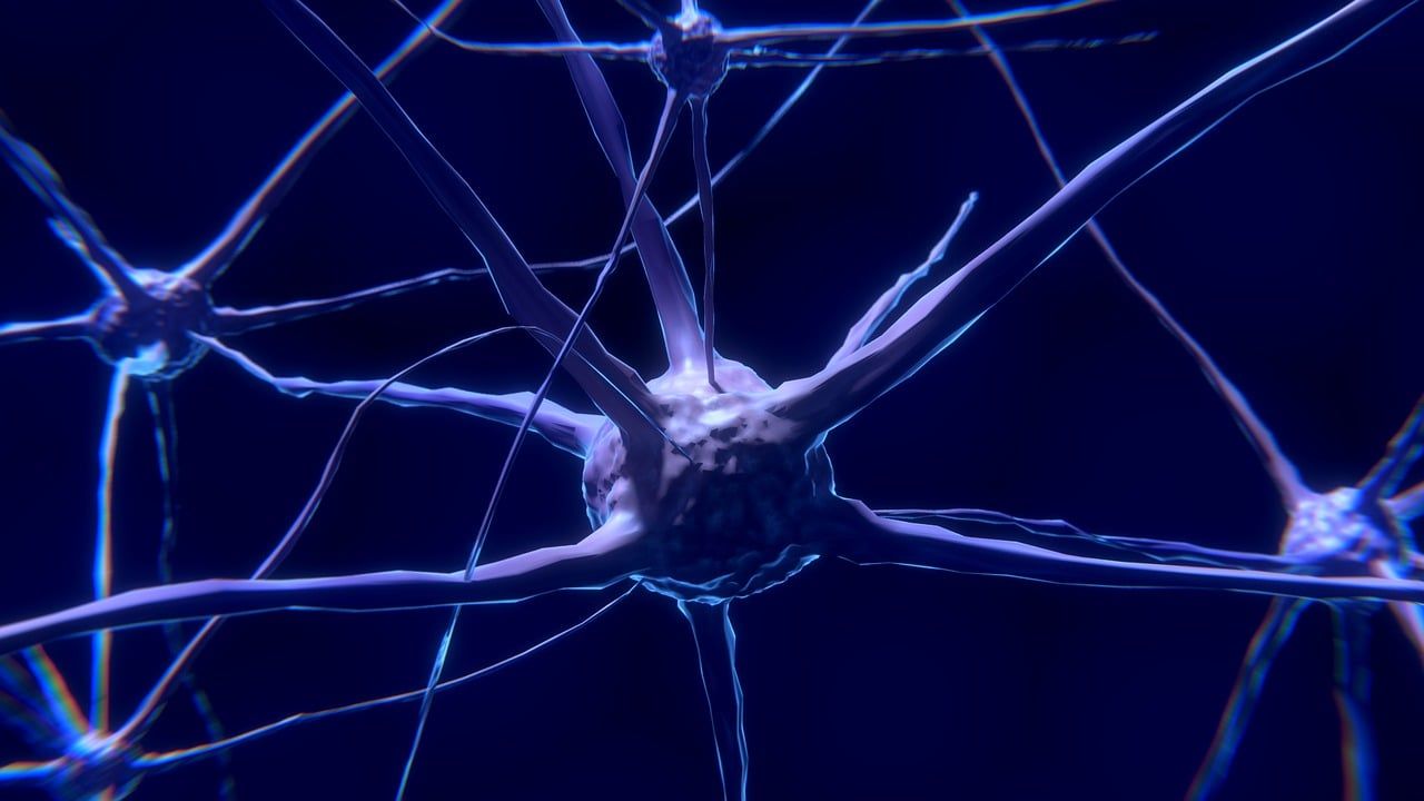 1280x720 神経科学 & Nervous System Image