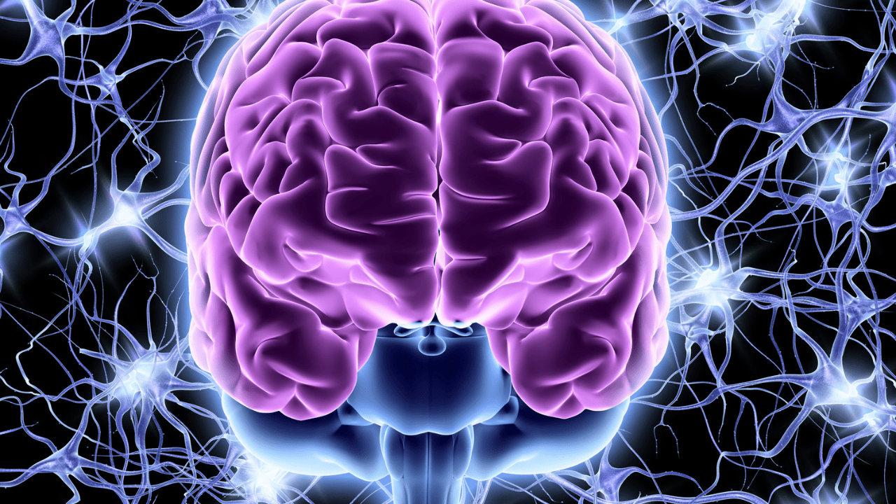 1280x720 The Conditioned Nervous System Healing