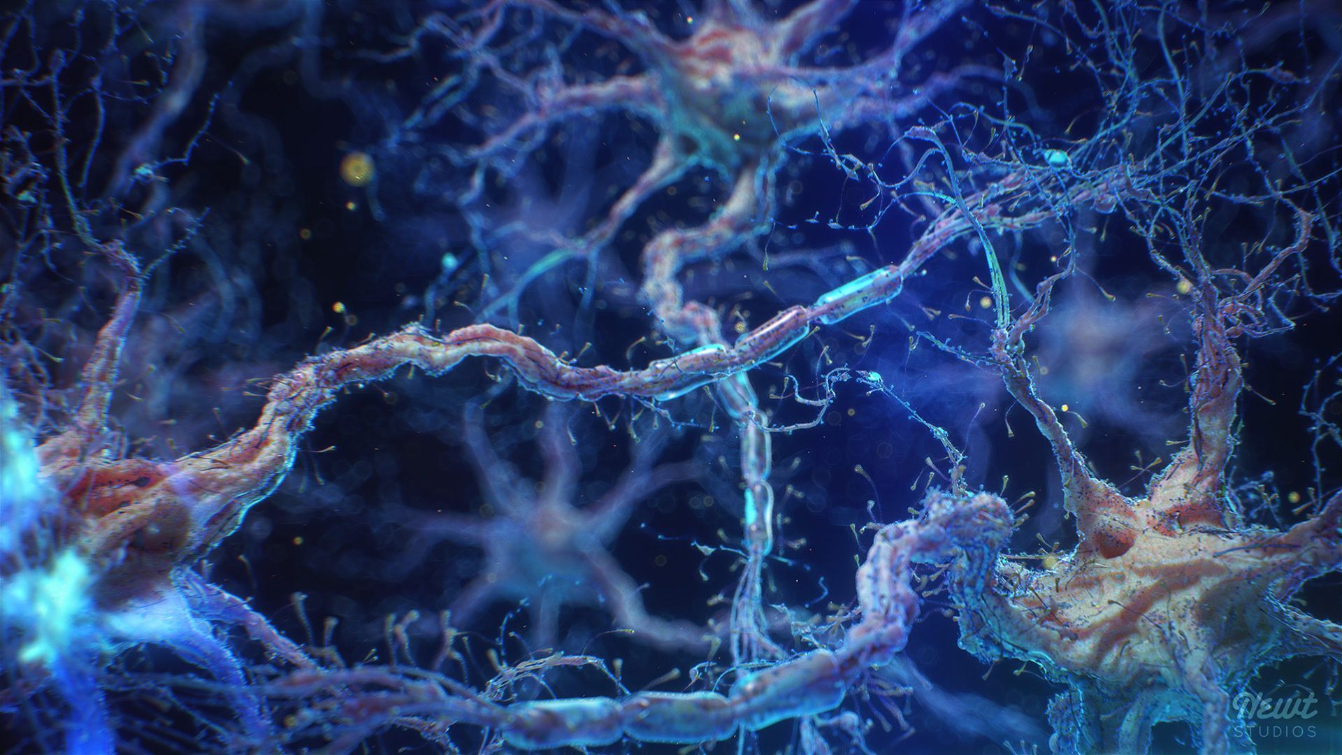 1920x1080 Neuronal hyperexcitability in Alzheimer