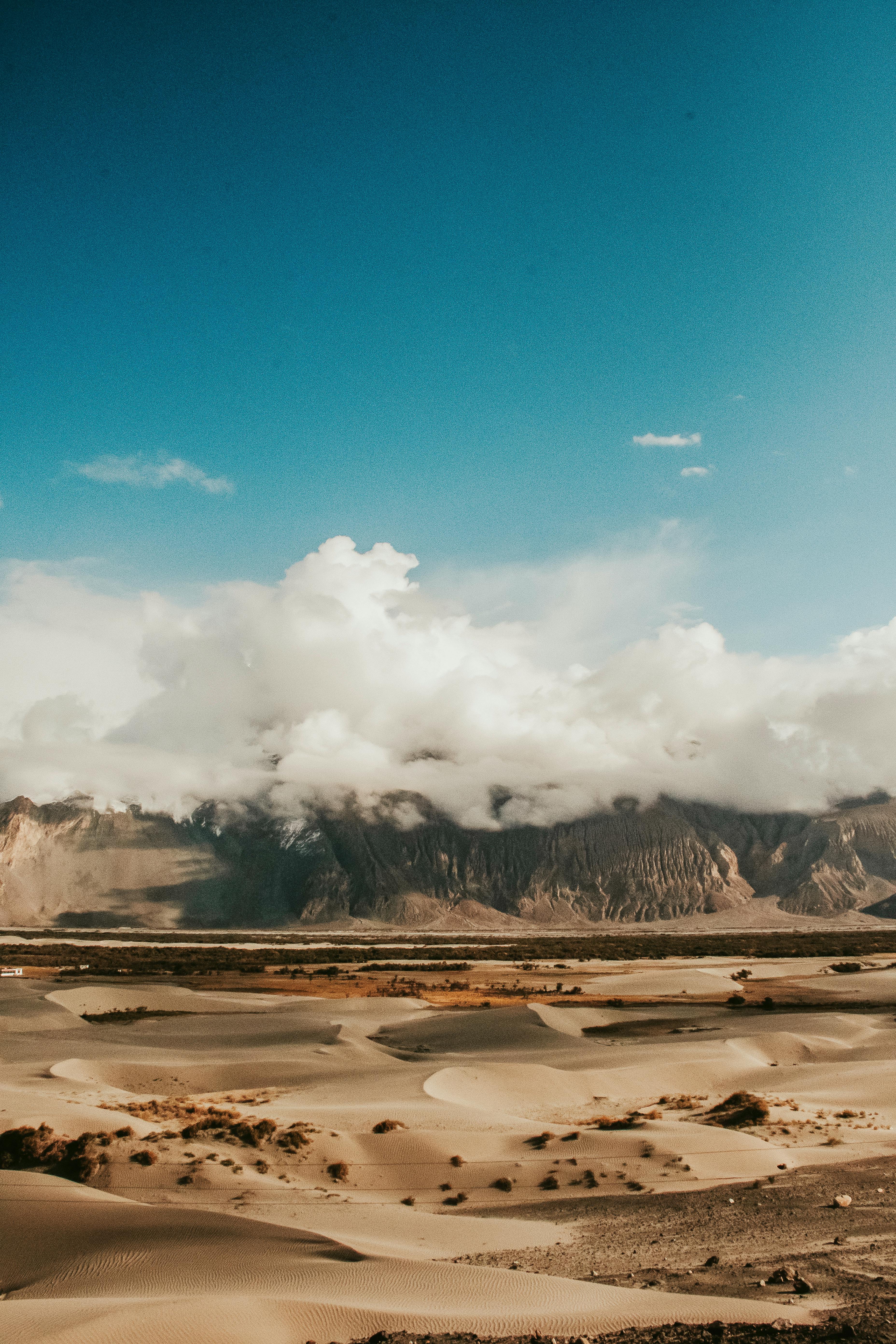 3712x5568 Best Desert Photo · 100% Free