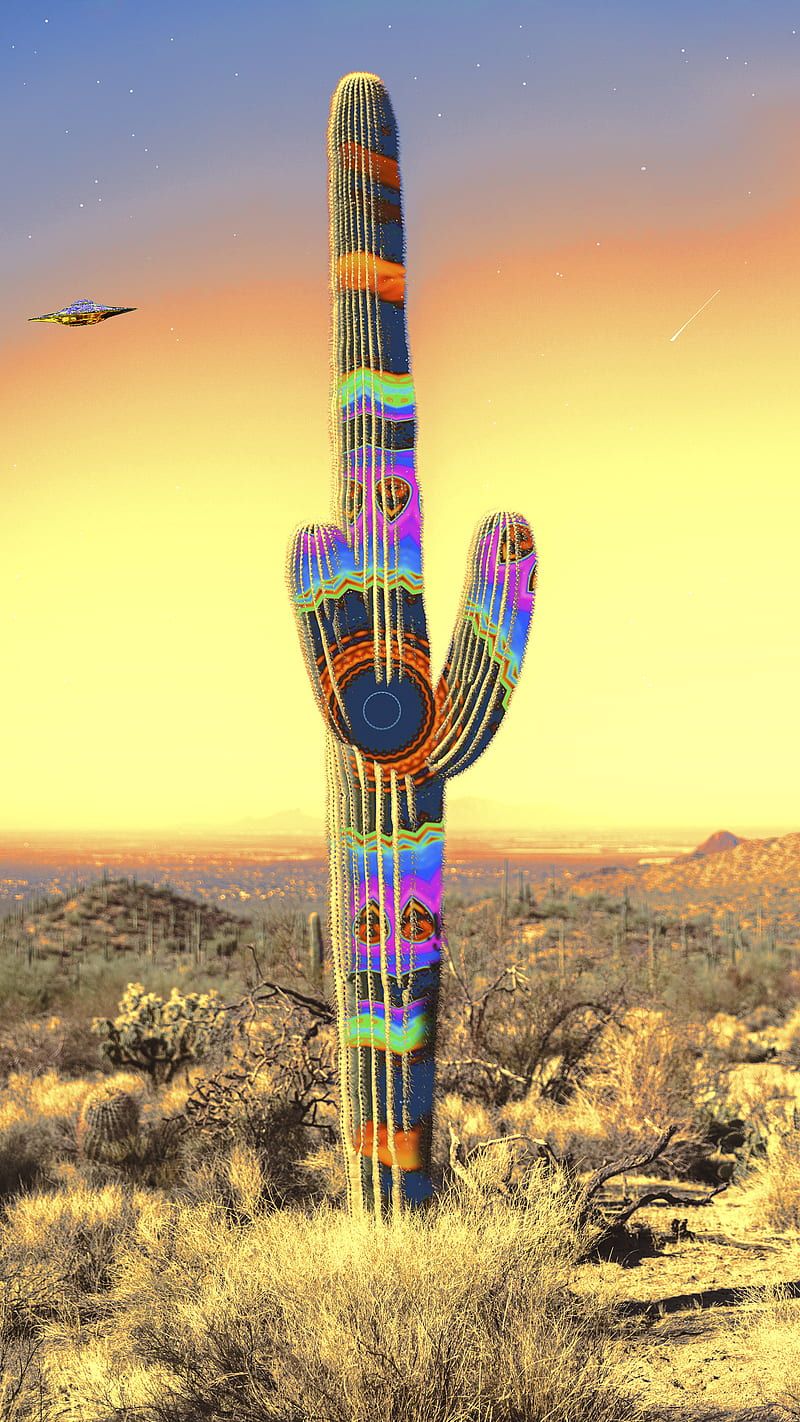 800x1422 HD ufo desert wallpaper