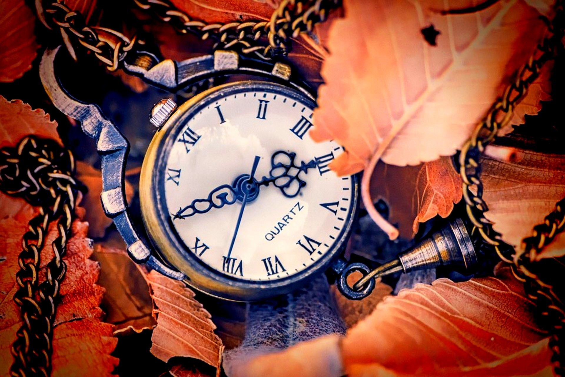 1920x1281 Wallpaper autumn, leaves, arrows, watch